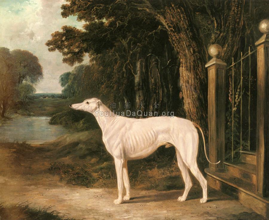 Vandeau, A White Greyhound - 约翰·弗雷德里克·赫尔林